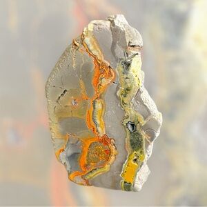 Bumblebee Bee Jasper